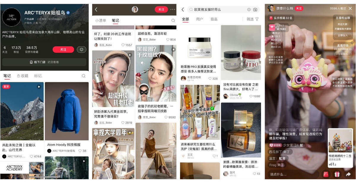 Brand Strategies on Xiaohongshu: Official Account Management, Influencer Marketing, UGC Campaigns, and Red Advertising