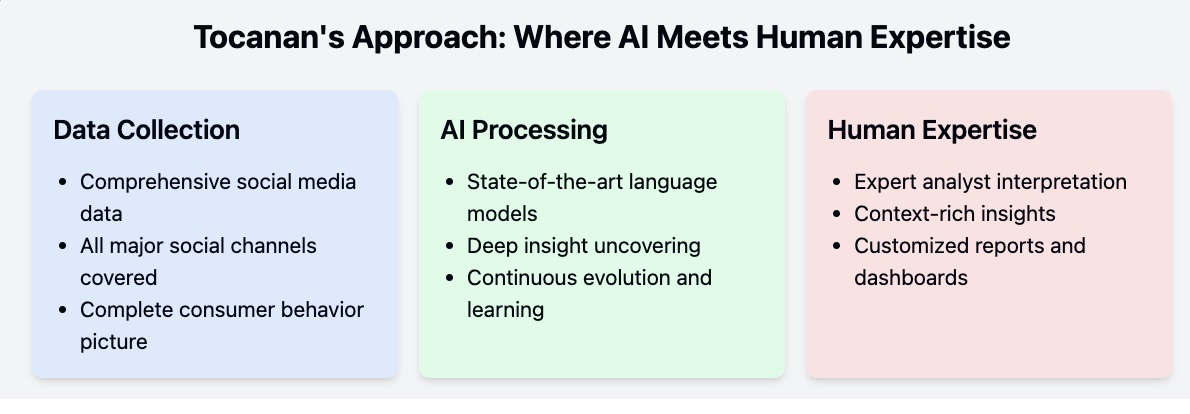 Tocanan's approach: Data Collection, AI Processing, and Human Expertise